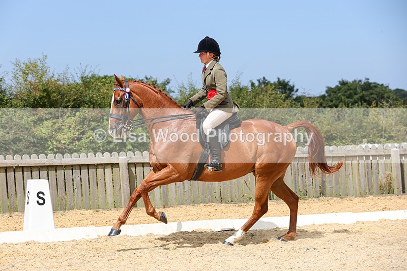 1X9A8467 - Ridden Championship