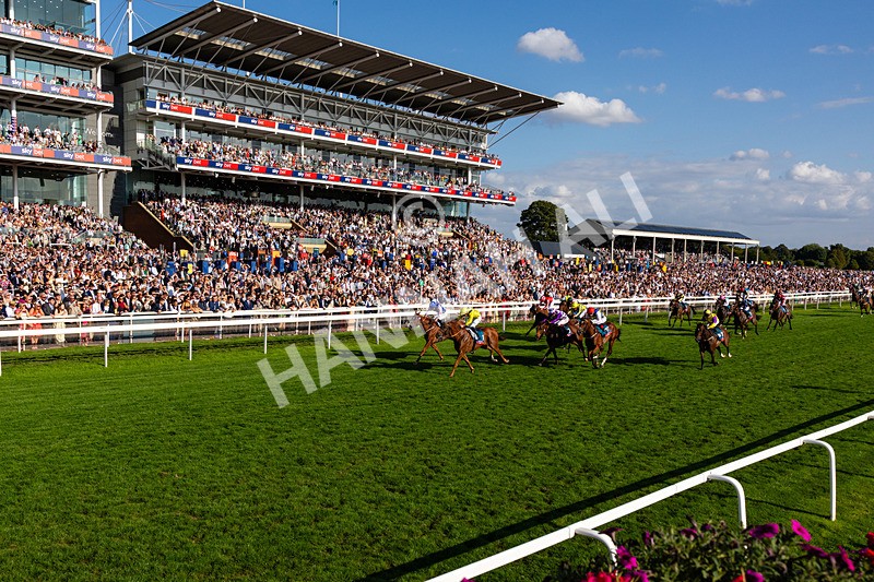 220826-Race 7-Raammee-0836 - Race 7 17.20pm Sky Bet Dav Reid Finale Handicap