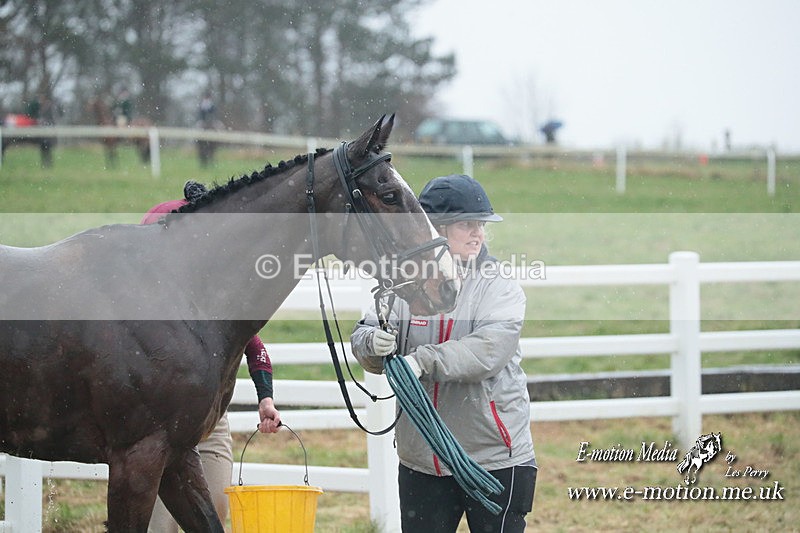 PtP 101223 156 - New Forest Hounds PtP Larkhill 10/12/23