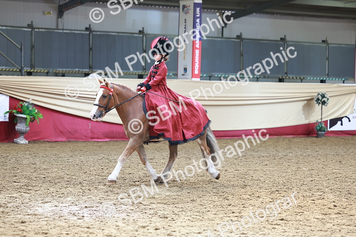 SBM_13455 - Class 104 - Ridden Costume - Astride Junior