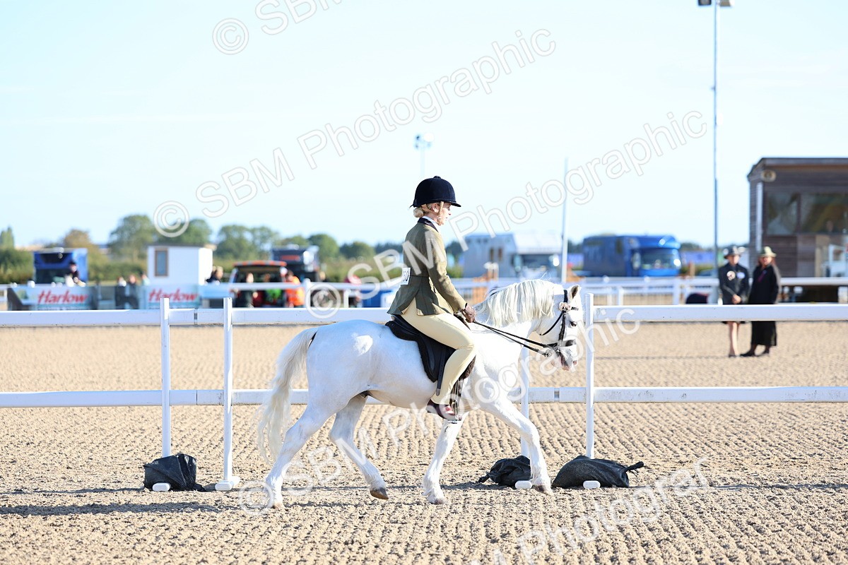 SBM_07788 - Class 301 - Ridden M&M - Small Breeds