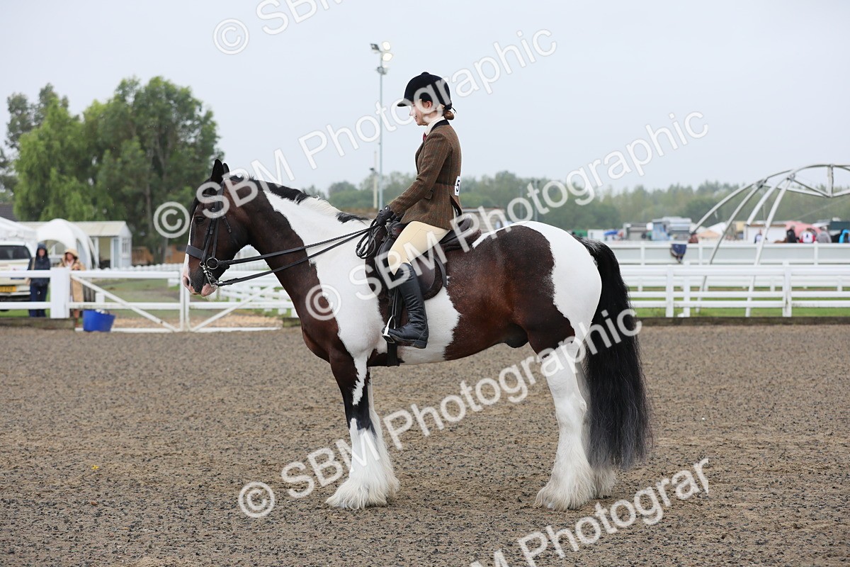 SBM_19920 - Class 801 - Ridden Veteran
