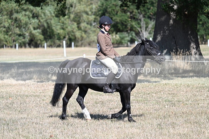 WJ7_3463 - Class 9 Mountain & Moorland Ridden