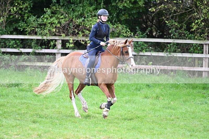 WJ7_1146 - Time at Photographer 12:35 to 13:04