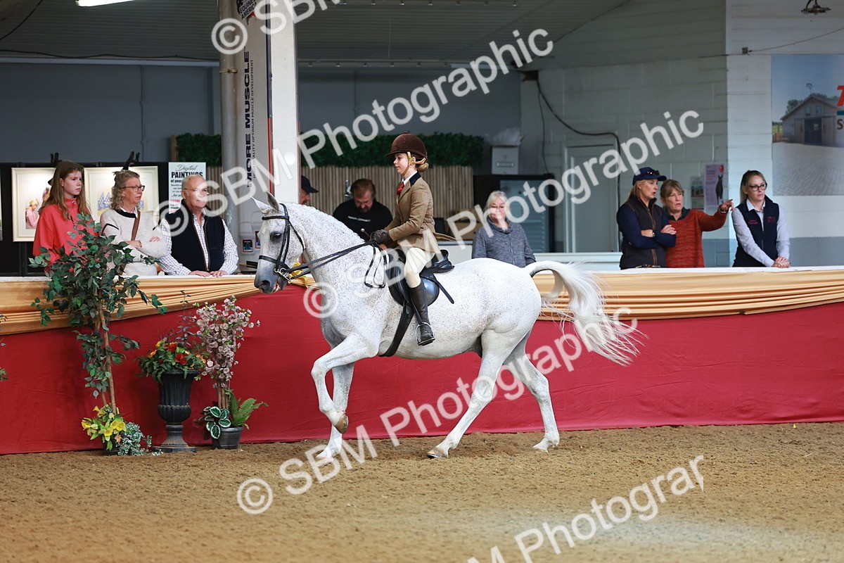 SBM_09500 - Class 102 - HOYS Veteran Qualifier - Ridden Veteran
