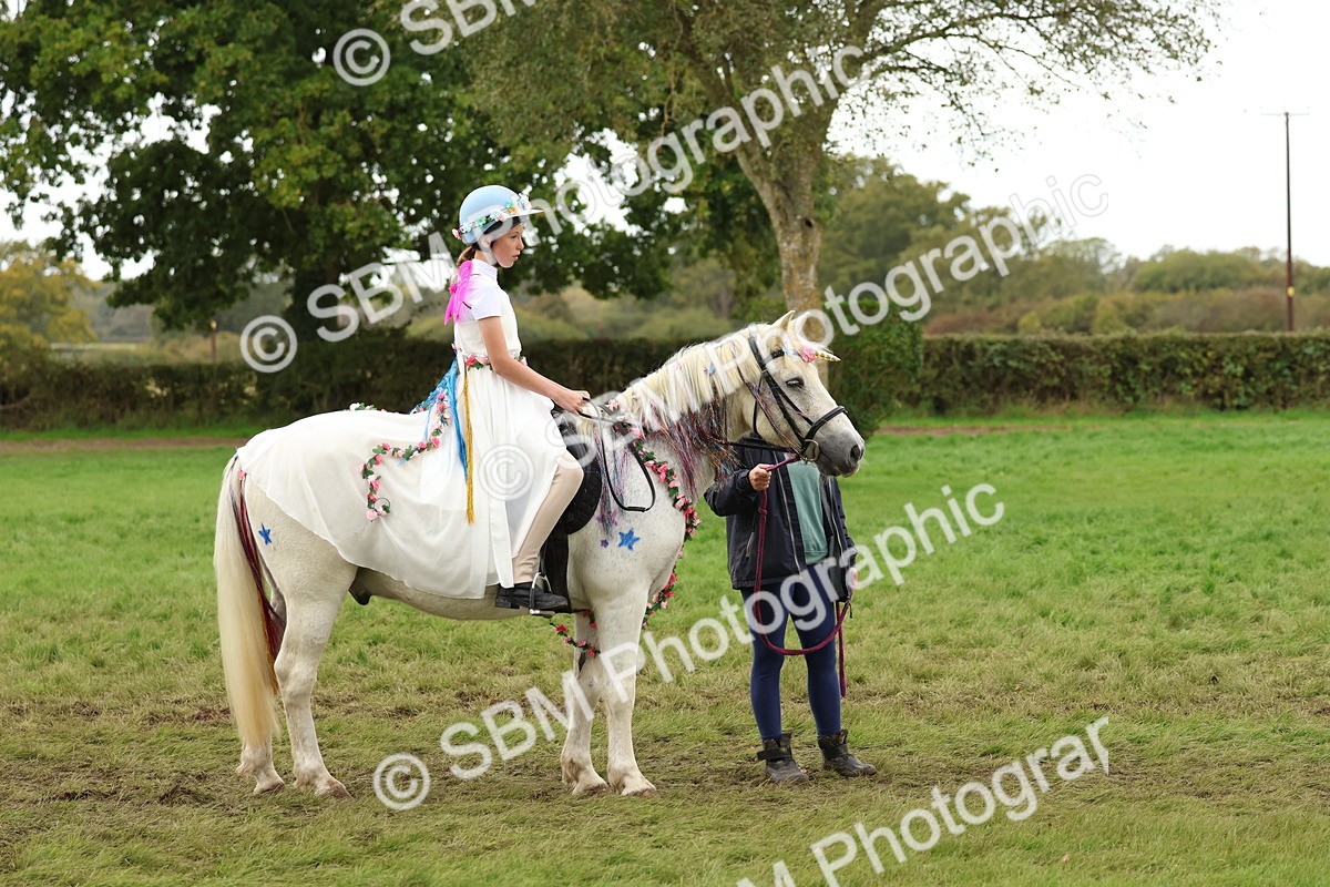 SBM_62152 - S37b - Best Unicorn