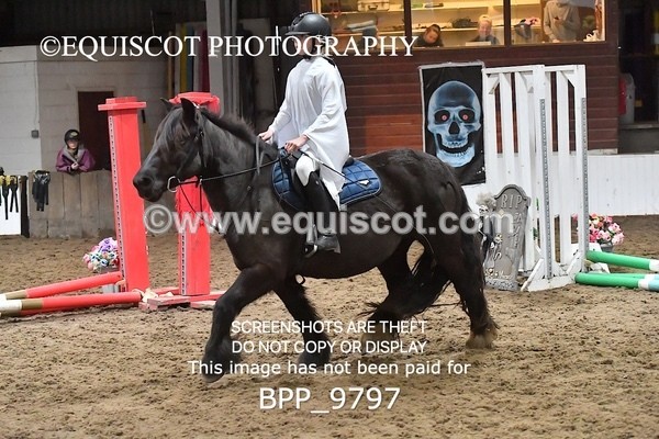 BPP_9797 - CLASS 1 CROSSPOLES