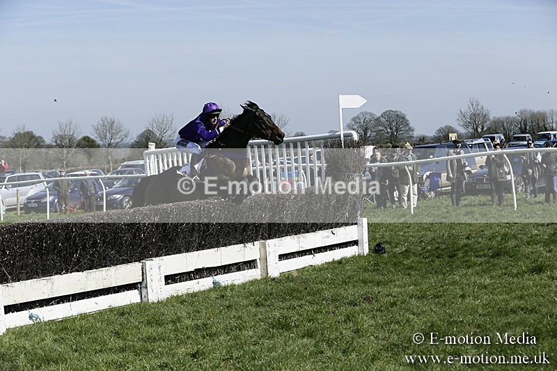 PtP 260317 57 - Mendip Farmers Point-to-Point Ston Easton 26/03/17