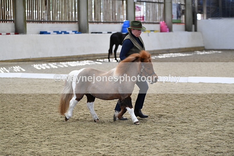 WJ5_4872 - Class 7 In hand coloured / odd coloured