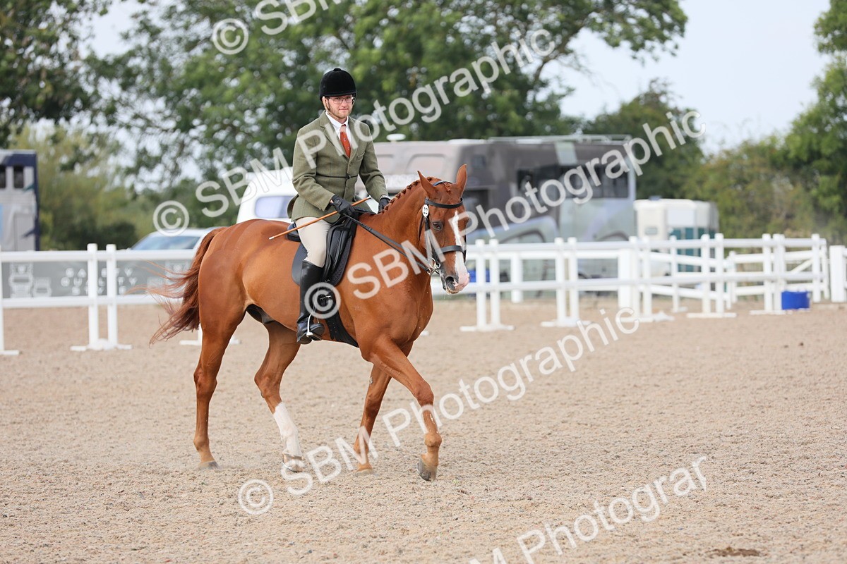 SBM_11439 - Class 305 Ridden Foreign Breeds- Pure Bred