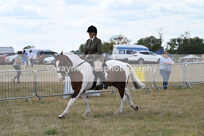 WJ7_5087 - Class 12 Ridden Cob