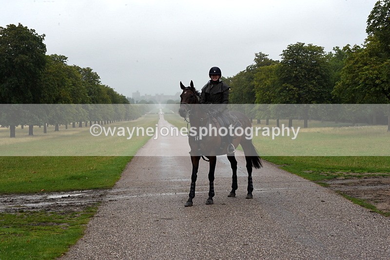 TT3_8348 - Time at Crossing 10:16 to 11:38