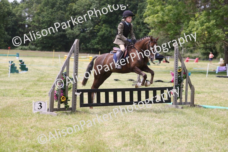 20260614-2845 - Class 22 - Open Working Hunter