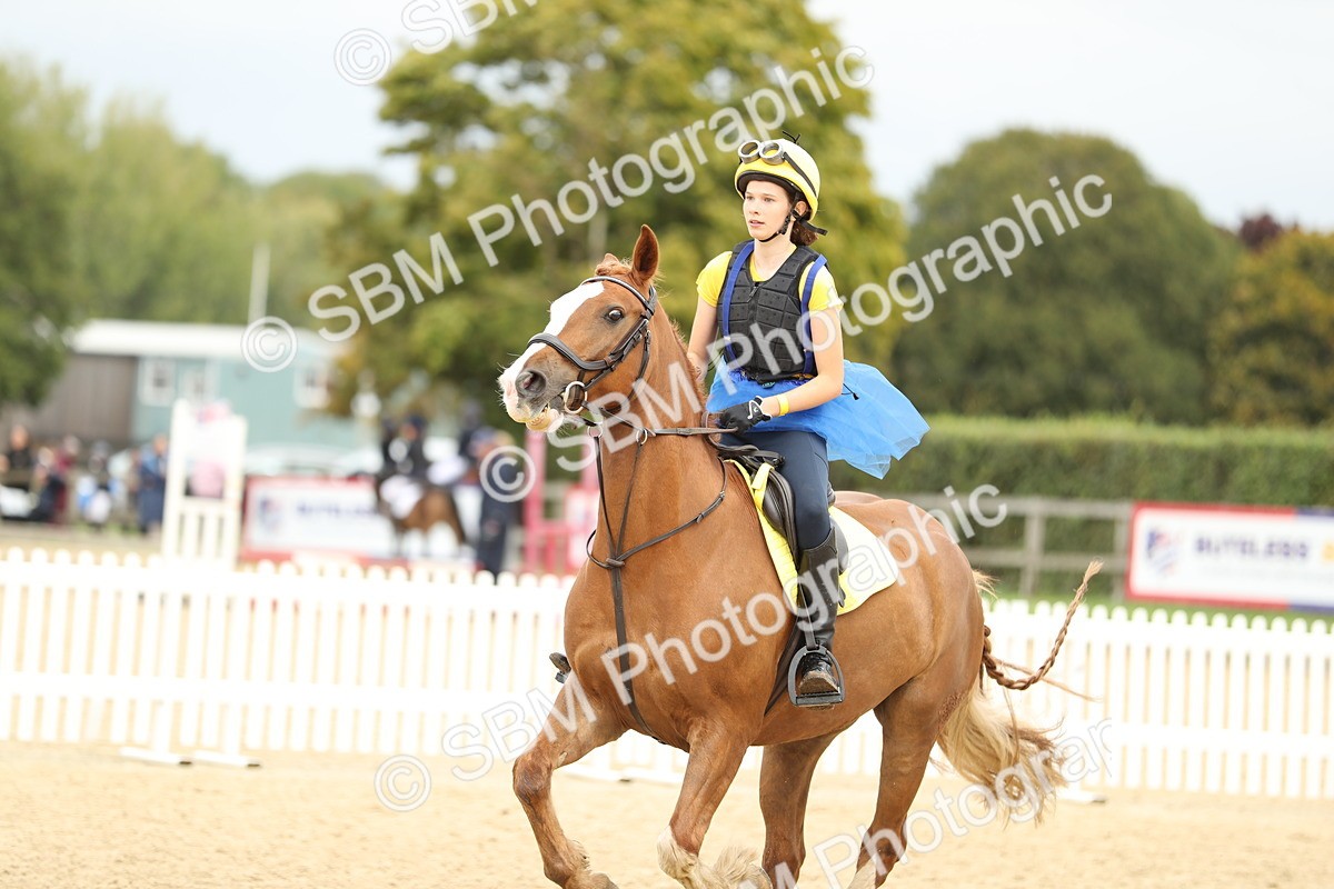 SBM_65602 - J48 - Pairs Jumping Open 70cm & 85cm