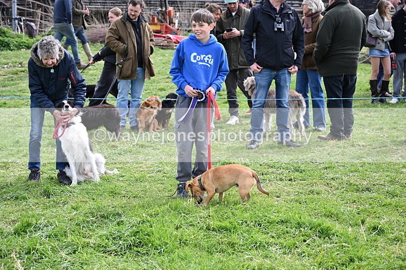 WJ6_8626 - Class 6 Best Rescue