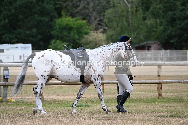 WJ6_3716 - Class 9 Tack & Turnout