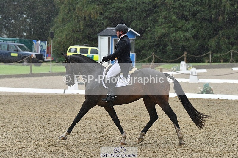 231018-153636-00831 - 011-BIG.QUERLYBET.K.Z-Paul.Whitehead-DR