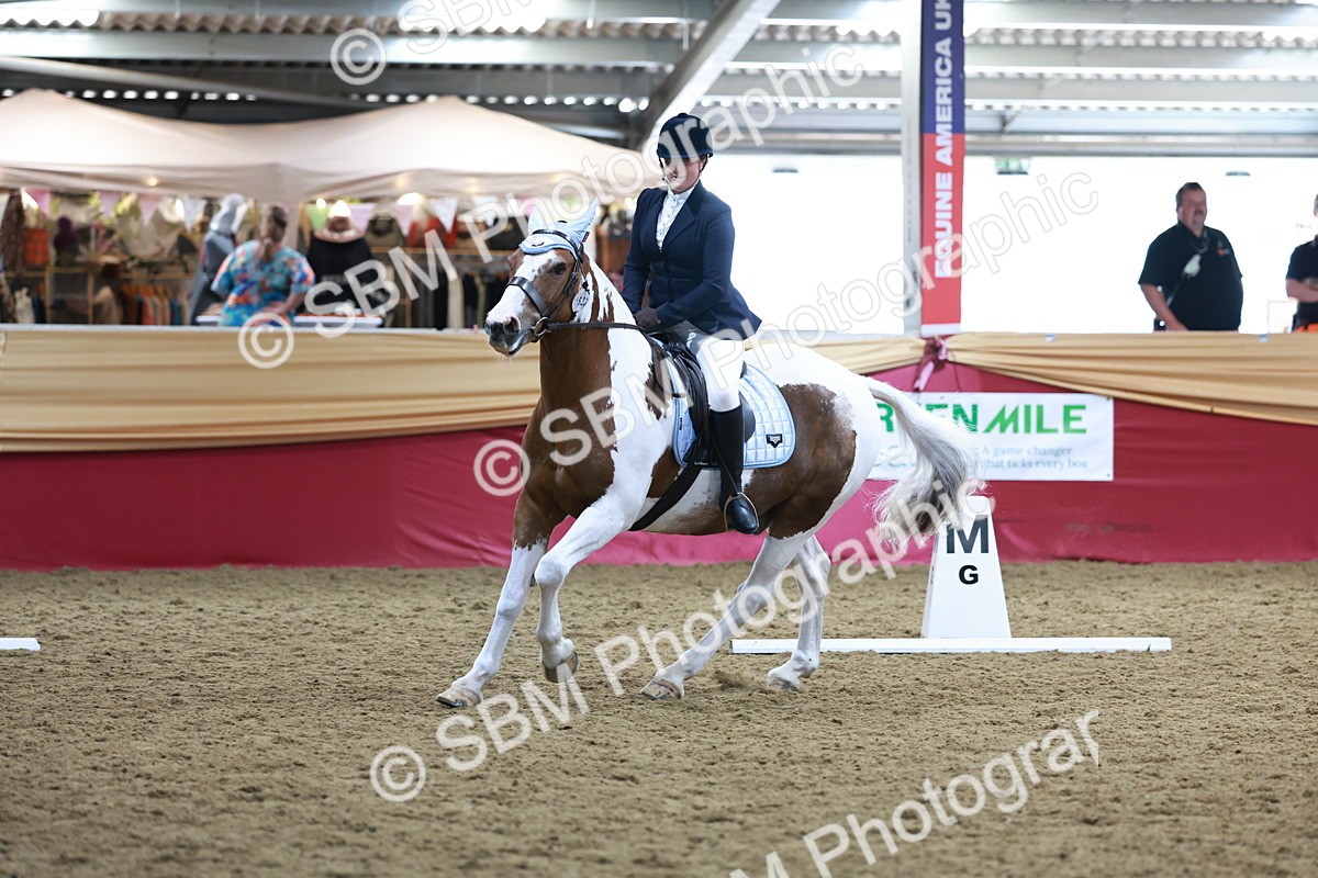 SBM_09179 - Class 61 - Dressage to Music