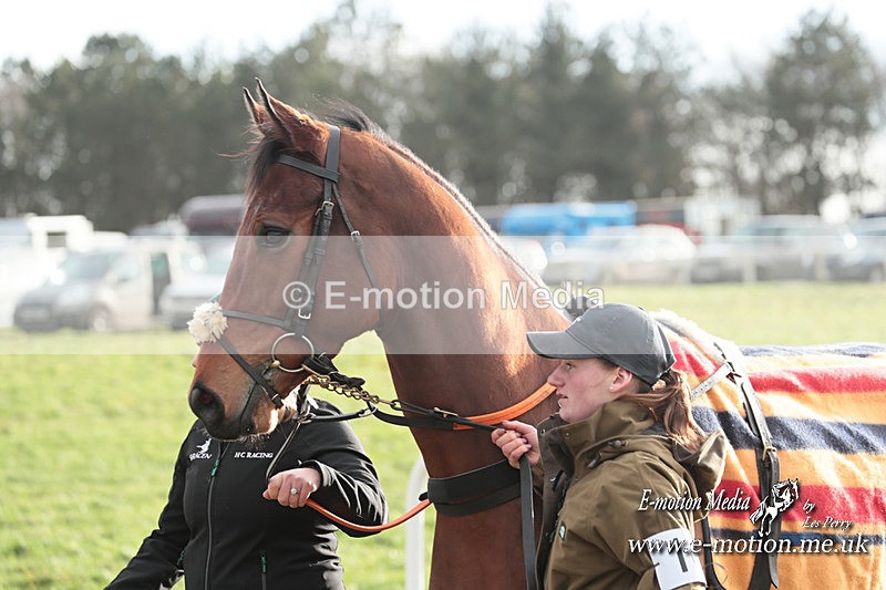 PtP 311223 369 - Larkhill Racing Club Point-to-Point 31/12/23