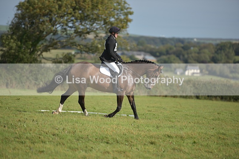 RAY_8064 - Class 2B: Trekenning Open: Dressage