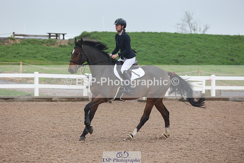 231112A-101613-03276 - Cls 17 Blue Chip Novice Winter Qualifier