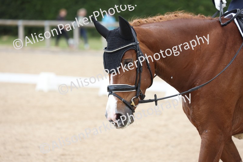 20250604-0643 - Class 4 - Novice 6