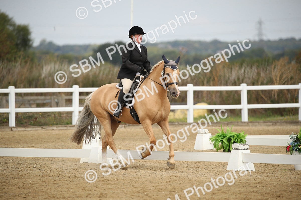 SBM_000637 - Class 2 - Prelim 5 - 10.05-11.15