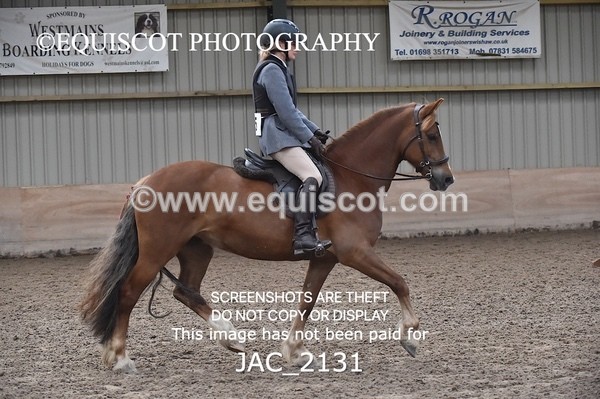 JAC_2131 - CLASS 1 Nursery Novice Working Hunter