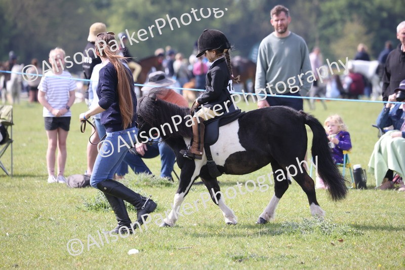 20260426-2538 - Class 31 - Leading Rein