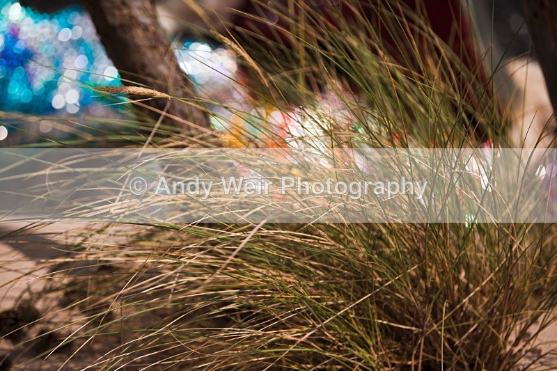 2010023_1779 - Miscellaneous Photographs