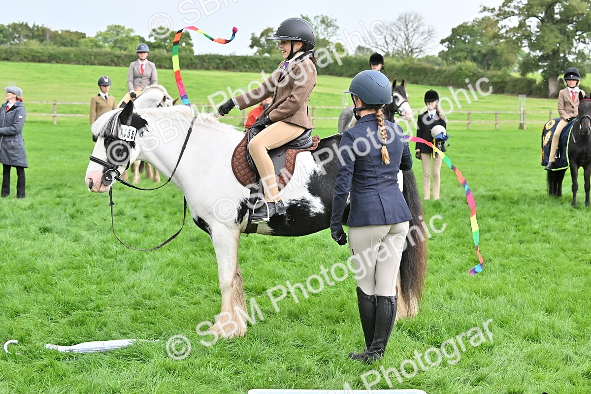 SBM_42928 - S12 - Family Horse & Pony