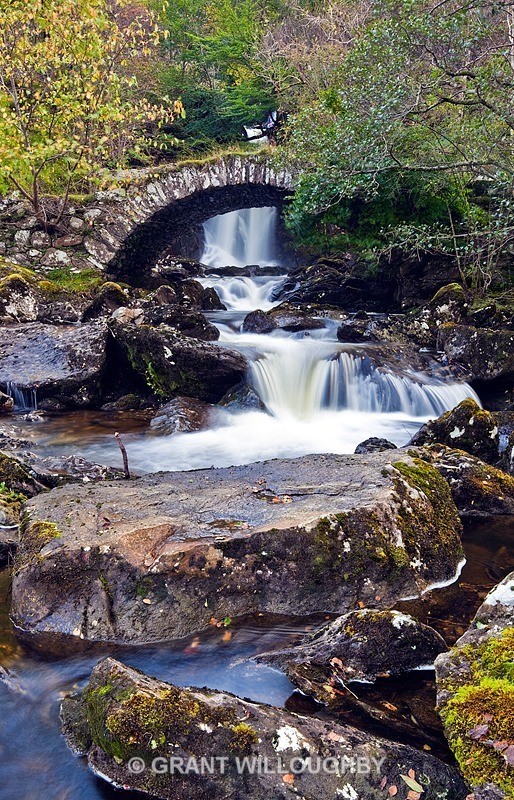 Glen lyon - Woods Trees Gorges and Waterfalls