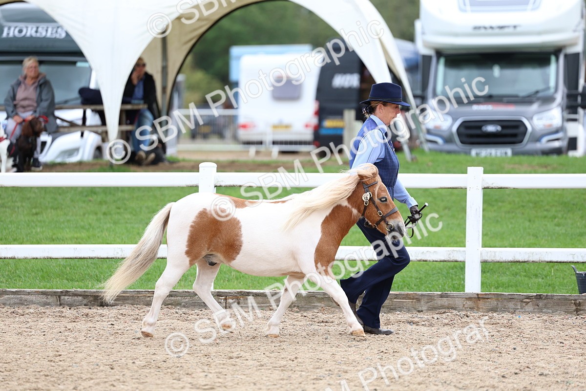 SBM_05874 - Class 29 - IH Veteran Pony