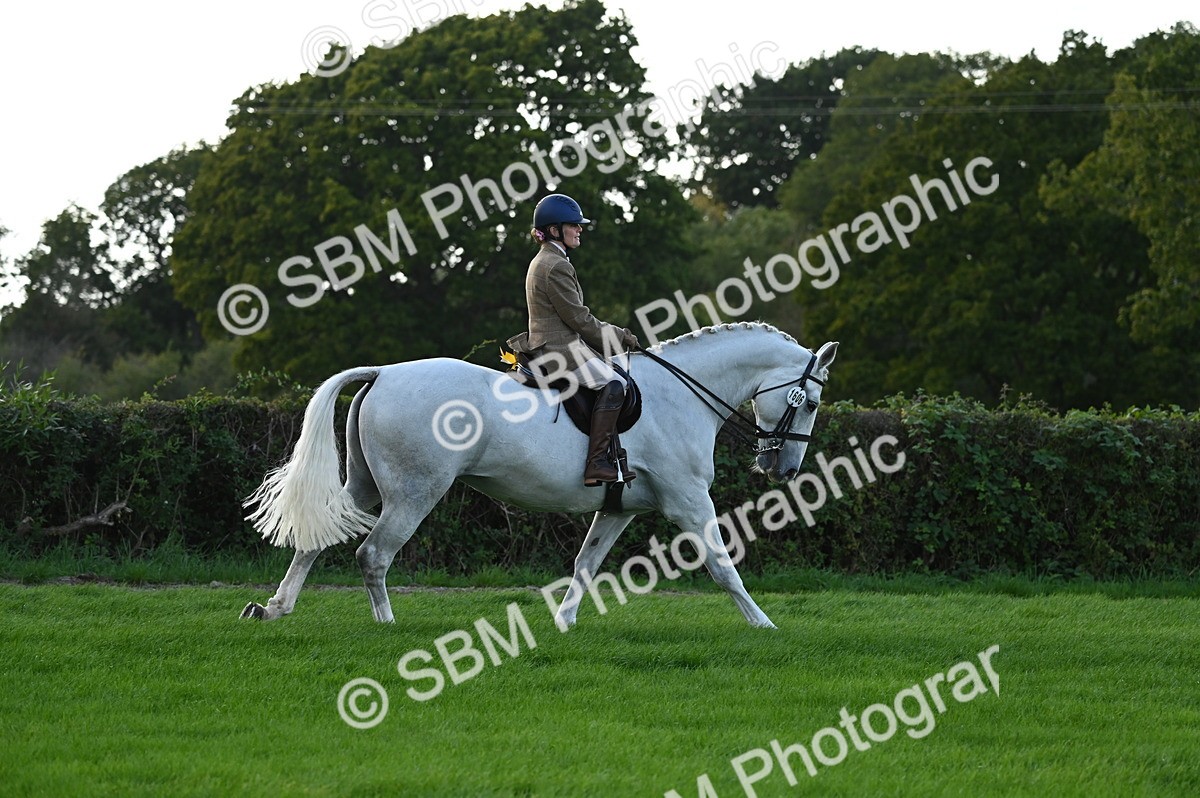SBM_26519 - S6 - Novice & newcomer Ridden horse