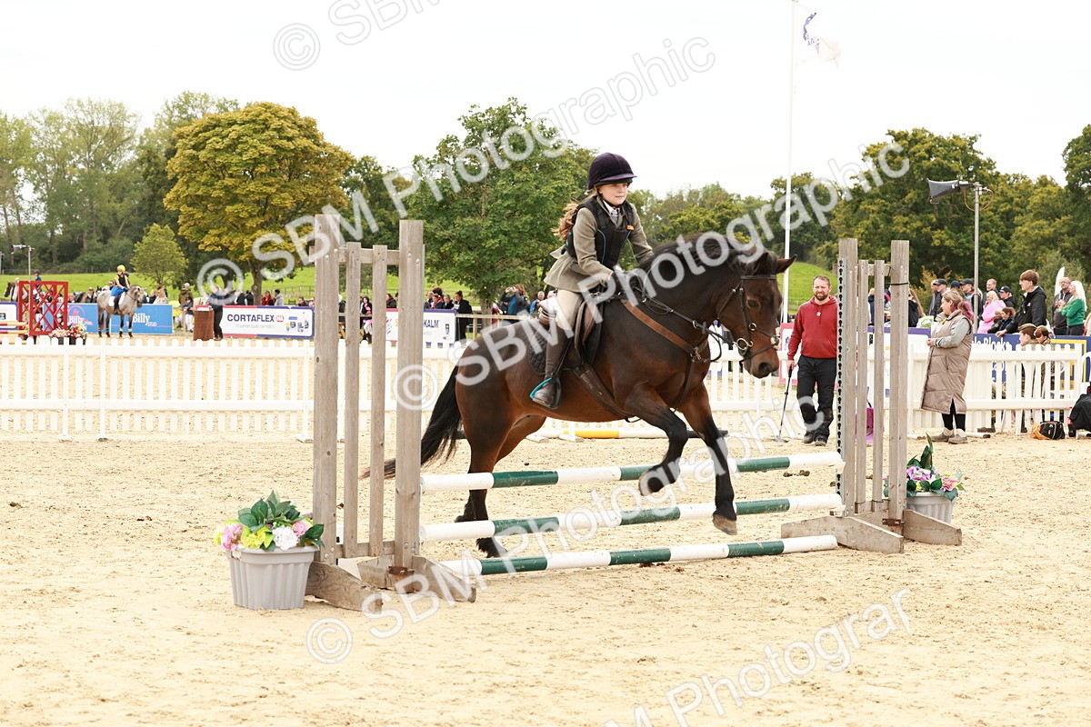 SBM_63642 - J12 - Junior Pony 55cm Championship