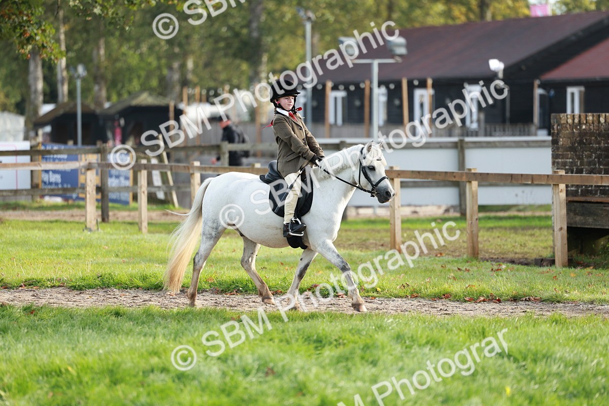 SBM_56298 - S39 - Starters In Hand Showing