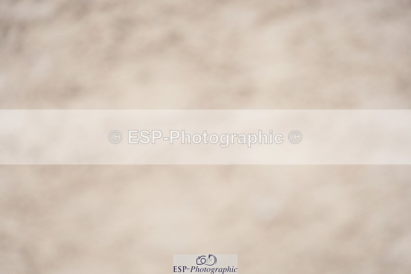 230924A-134210-06251 - 90 SJ Start to 14.00