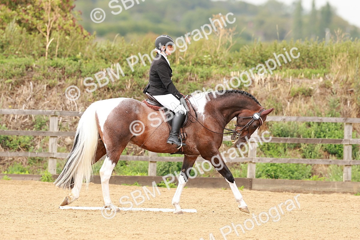 SBM_001905 - Elementary 1-2