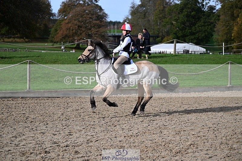 241117-112222-03523 - Cls 2 80-85cm 10.20 to 11.20