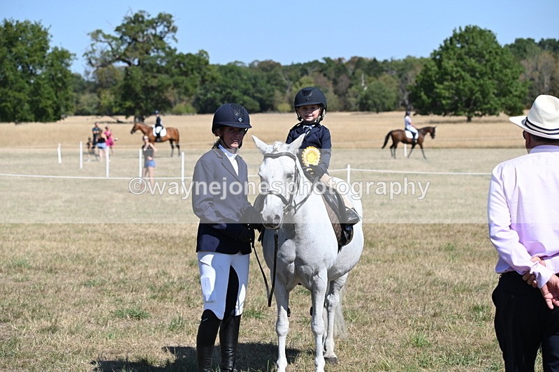WJ6_8142 - Class 36 Lead Rein