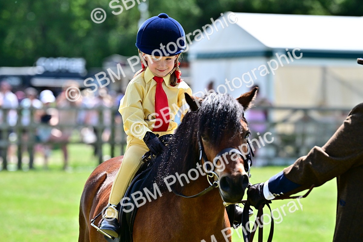 SBM_05894 - Class 59-60 - TSR M&M  Lear Rein and First Ridden Amateur of the year