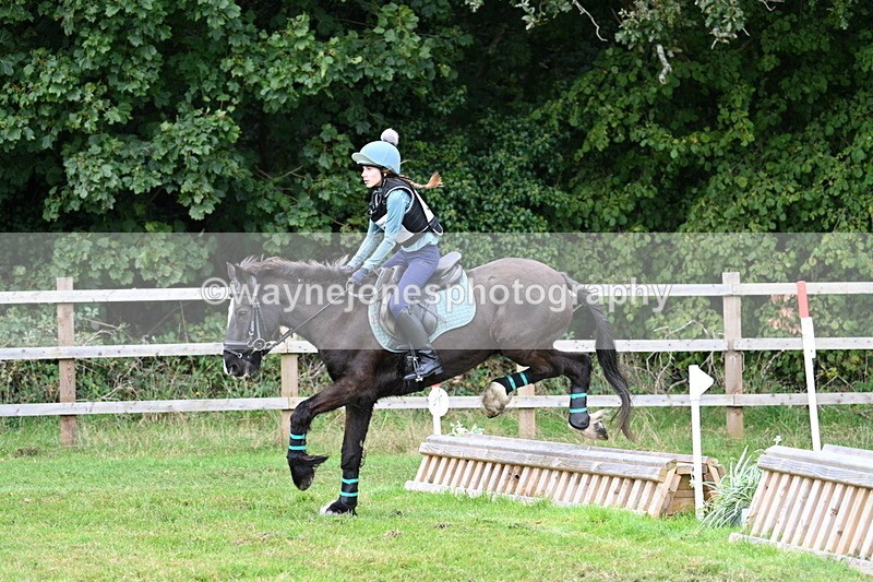WJ7_7667 - 40cm Time 10:49 to 11:18