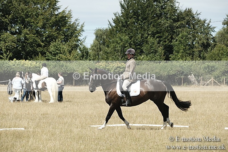 _PJP5870 - Dressage Classes BVRC Show 2018