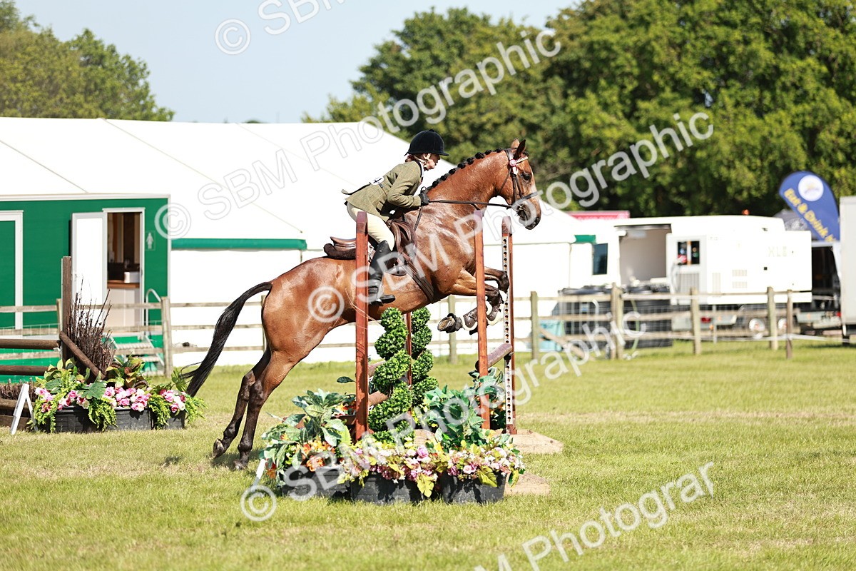 SBM_18838 - Class 114 - RIHS & SEIB Open Working Show Horse