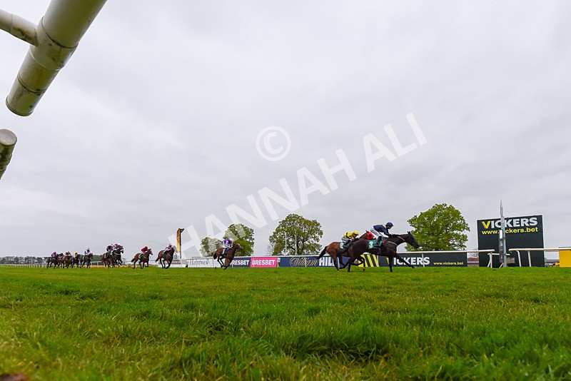 040524-Race 6-Vocal Studies-8814 - Race 6