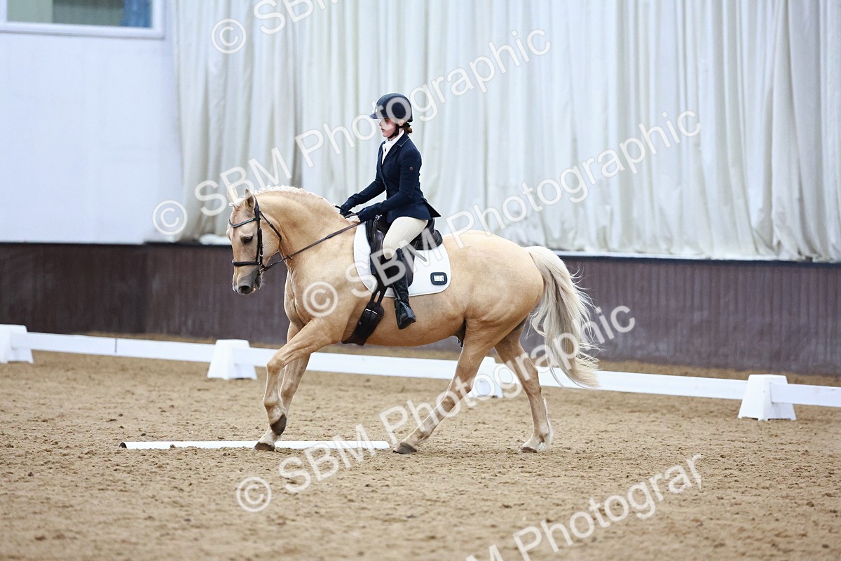 0B8A8309 - Class 5 - Novice 2