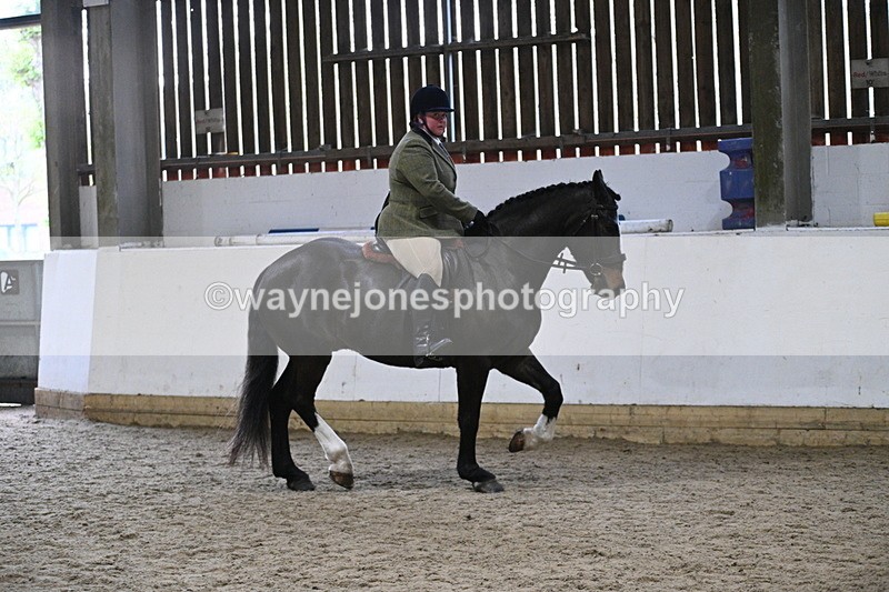 WJ7_3904 - Class 17 Ridden Cob