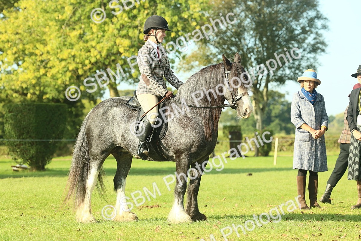 SBM_59229 - S38 - Starters Ridden Showing