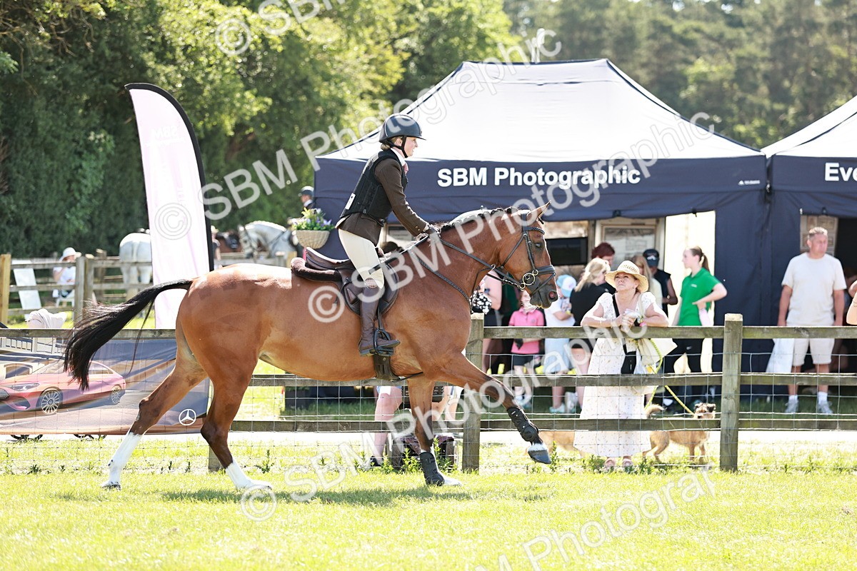 SBM_18337 - Class 112-113 - BSPS LIHS Working Sports Pony