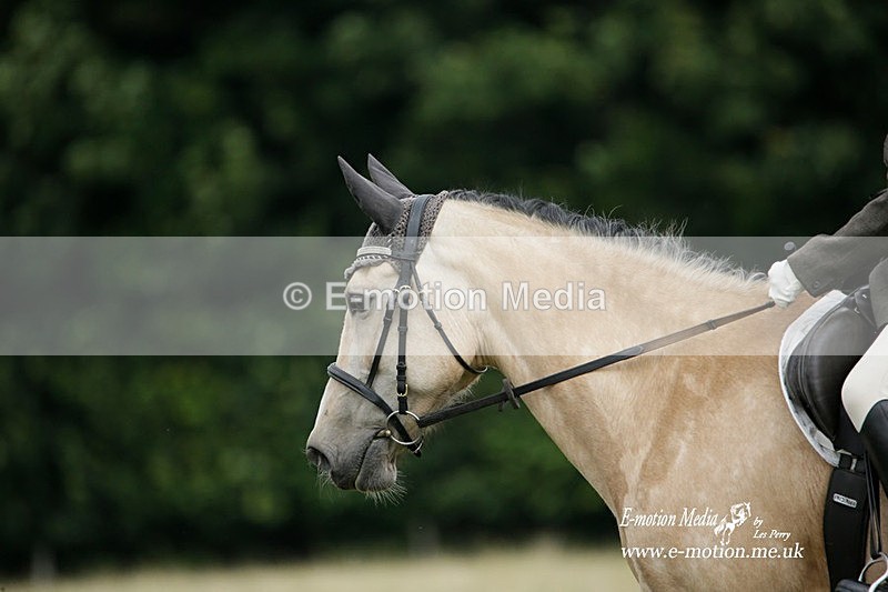 BVRC 030721 325 - Bourne Valley Riding Club Dressage 03/07/21